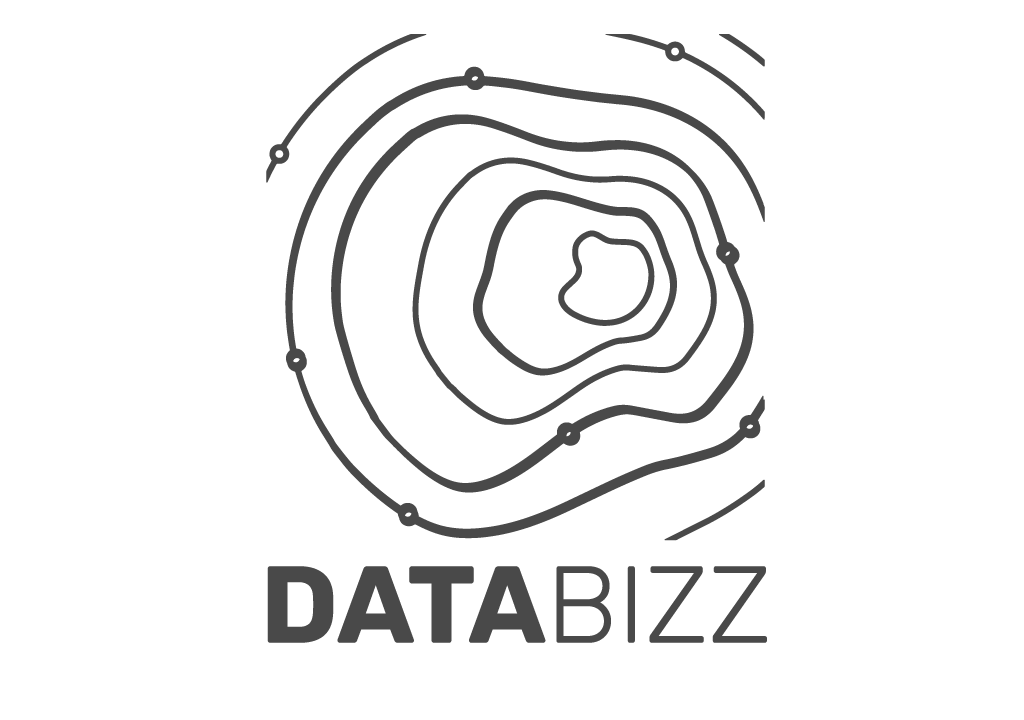 Databizz
